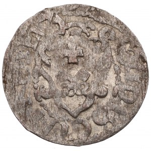 Zygmunt III Waza, Szeląg bez daty, Ryga - rzadkość