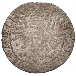 Sigismundus III, Groschen 1610, Vilnius