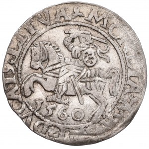 Sigismund II Augustus, Halfgroat 1560, Vilnius - L/LITVA