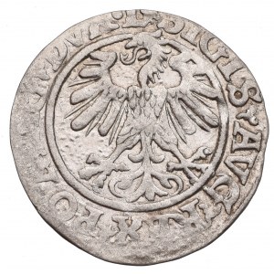 Sigismund II Augustus, Halfgroat 1560, Vilnius - L/LITVA