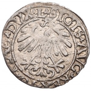 Sigismund II Augustus, Halfgroat 1559, Vilnius