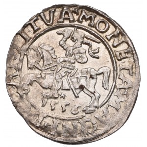 Sigismund II Augustus, Halfgroat 1556, Vilnius