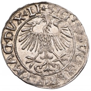 Sigismund II Augustus, Halfgroat 1556, Vilnius