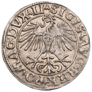 Sigismund II Augustus, Halfgroat 1550, Vilnius