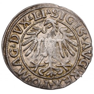 Sigismund II Augustus, Halfgroat 1547, Vilnius