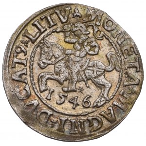 Zygmunt II August, Półgrosz 1546, Wilno - LI/LITV