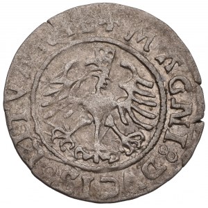 Sigismund I the Old, Halfgroat 1525, Vilnius