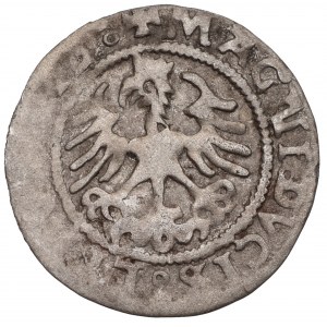Sigismund I the Old, Halfgroat 1524, Vilnius