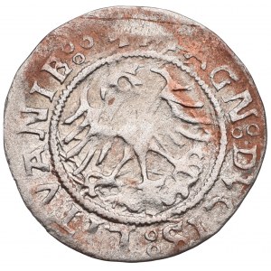 Sigismund I the Old, Halfgroat 1521, Vilnius