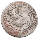 Sigismund I the Old, Halfgroat 1521, Vilnius