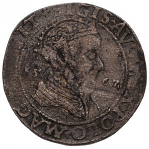 Zygmunt II August, Trojak 1562, Wilno - portretowy LIT/LITV