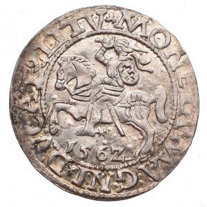 Sigismund II Augustus, Halfgroat 1562, Vilnius