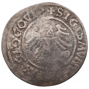 Zygmunt I Stary, Grosz 1506, Głogów