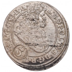 Śląsk pod panowaniem Habsburgów, Leopold I, 3 krajcary 1696, Brzeg