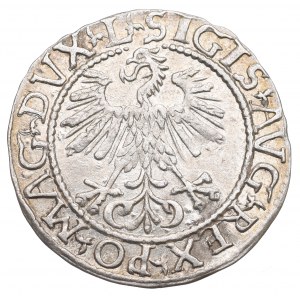 Zygmunt II August, Półgrosz 1561, Wilno - L/LITV