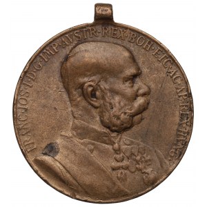 Austro-Węgry, Medal Signum Memoriae