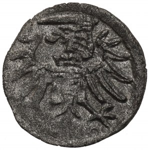 Sigismund II Augustus, Denarius 1555(?), Danzig