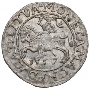 Sigismund II August, Half-groat 1557, Vilnius - LI/LITVA