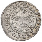 Sigismund II August, Half-groat 1557, Vilnius - LI/LITVA