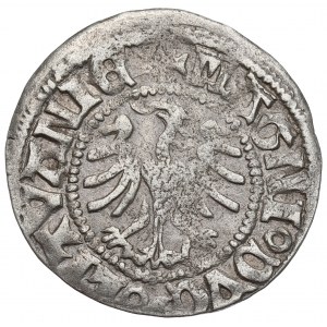 Alexander Jagellon, Halfgroat without date, Vilnius