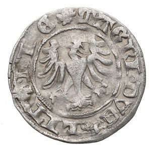 Alexander Jagellon, Halfgroat without date, Vilnius