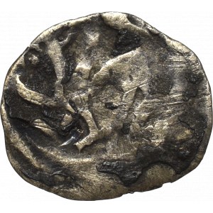 Pommern, Stettin, Denarius without date