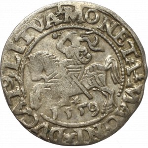 Sigismund II Augustus, Halfgroat 1559, Vilnius
