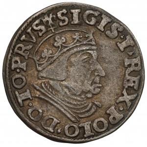 Zygmunt I Stary, Trojak 1538, Gdańsk - PRVS