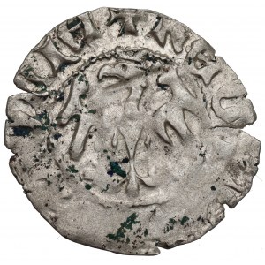 Vladislaus II Jagello, Halfgroat without date, Cracow