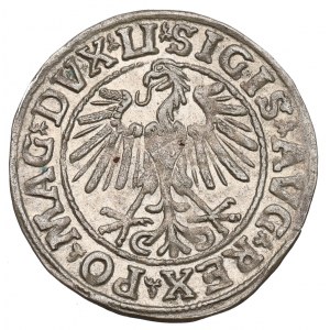 Sigismund II Augustus, Halfgroat 1547, Vilnius