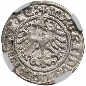 Zygmunt I Stary, Półgrosz 1512, Wilno - NGC MS62 / Rzadki