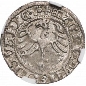 Sigismund I, Half-groat 1513, Vilnius - NGC AU58