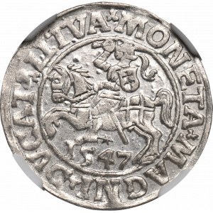 Sigismund II Augustus, Halfgroat 1547, Vilnius - NGC MS62