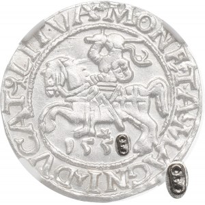 Sigismund II Augustus, Halfgroat 1558, Vilnius - NGC MS62