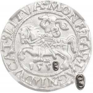 Zygmunt II August, Półgrosz 1558/8, Wilno - NGC MS62