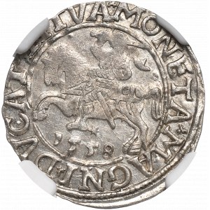 Zygmunt II August, Półgrosz 1558 Wilno - L/LITVA - NGC MS62