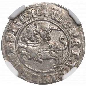 Sigismund I the Old, Halfgroat 1510, Vilnius - NGC