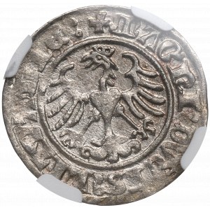 Sigismund I the Old, Halfgroat 1510, Vilnius - NGC