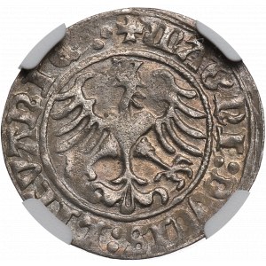 Sigismund I the Old, Halfgroat 1509, Vilnius - NGC MS61