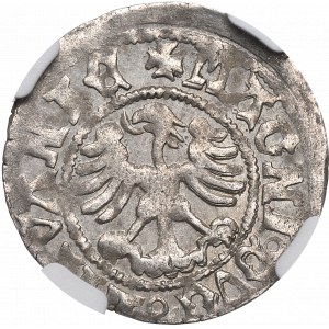 Alexander Jagellon, Halfgroat without date, Vilnius - NGC AU58