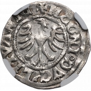 Alexander Jagellon, Halfgroat without date, Vilnius - NGC AU55