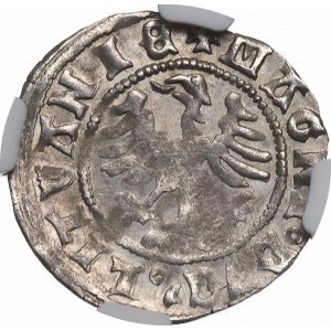 Alexander Jagellon, Halfgroat without date, Vilnius - NGC MS61