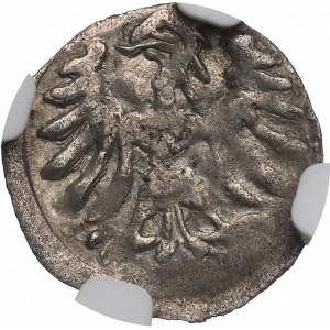 Alexander Jagellon, Denar without date, Vilnius - NGC MS62