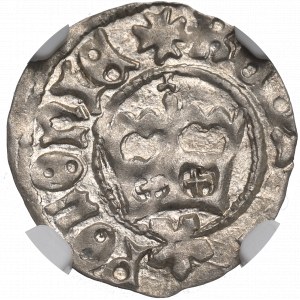 Jan Olbracht, Półgrosz bez daty Kraków - NGC MS63 / OKAZOWY