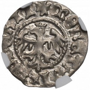 Jan Olbracht, Półgrosz bez daty Kraków - NGC MS63 / OKAZOWY