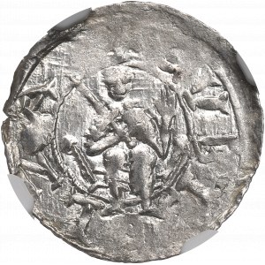 Bolesław III Krzywousty, Denar, Kraków - DENAIVS - NGC MS62 / RZADKI