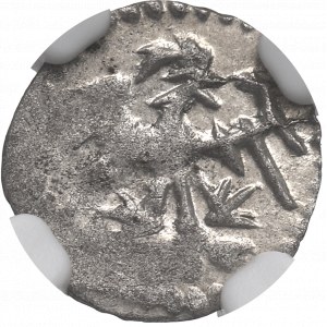 Władysław II Jagiełło, Denar bez daty, Wschowa - NGC MS62 / RZADKI