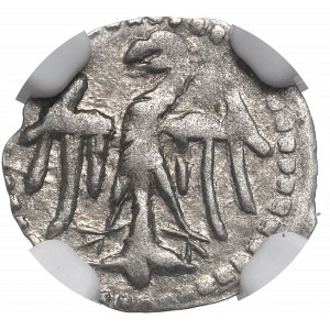 Władysław II Jagiełło, Denar bez daty, Wschowa - NGC AU58 / BARDZO RZADKI