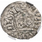 Władysław II Jagiełło, Półgrosz bez daty, Kraków - NGC AU55 / B.RZADKI