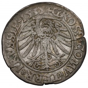 Zygmunt I Stary, Grosz dla ziem pruskich 1535, Toruń - PRVSSIE/PRVSSIE